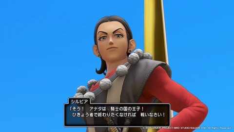 dq11_silvia-fallis_samadi-chivalry3