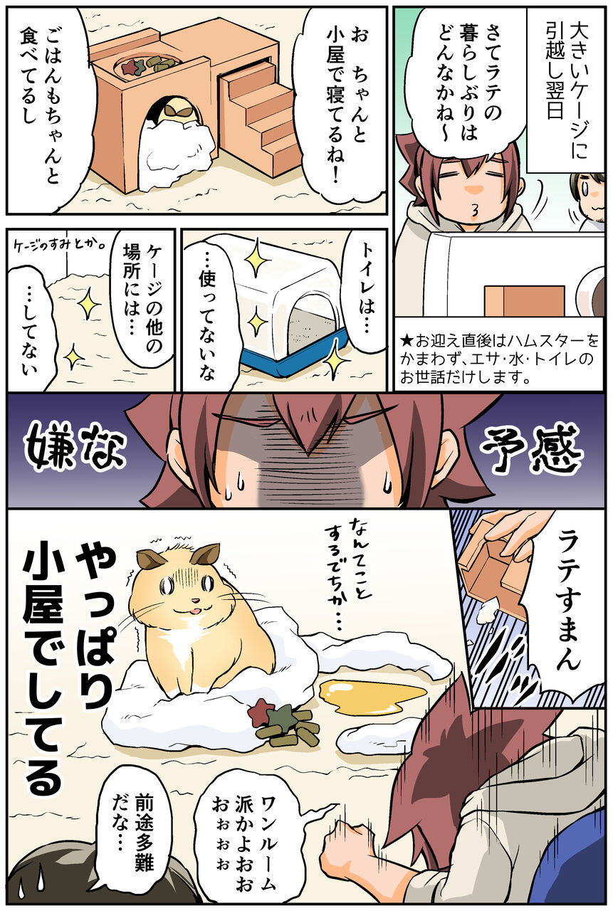 コロナ自粛生活の中 ハムスターをお迎えした話 8 大きいケージへ引っ越したものの ゆるぐらし 交際16年の熟成婚夫婦 イモリ ハムスターの日常 コロナ自粛生活の中 ハムスターをお迎えした話 8 大きいケージへ引っ越したものの ゆるぐらし 交際16年の熟成婚夫婦 イモリ ハムスターの日常