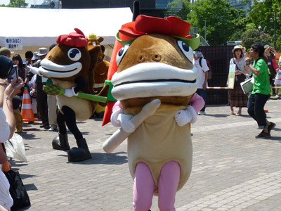 P1050179_べに子正面