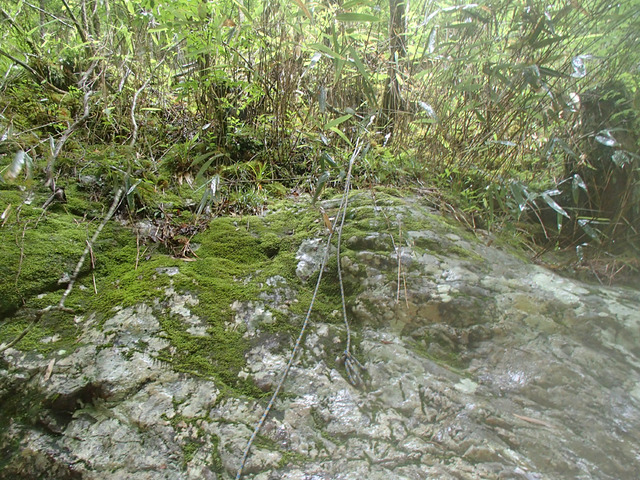 P7080069