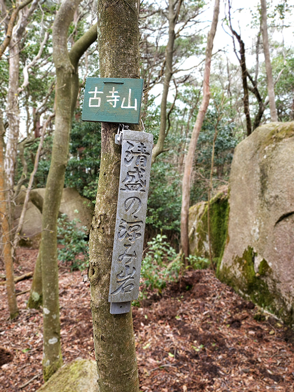 裏六甲 古寺山 六甲アルプス ゆるけい登山