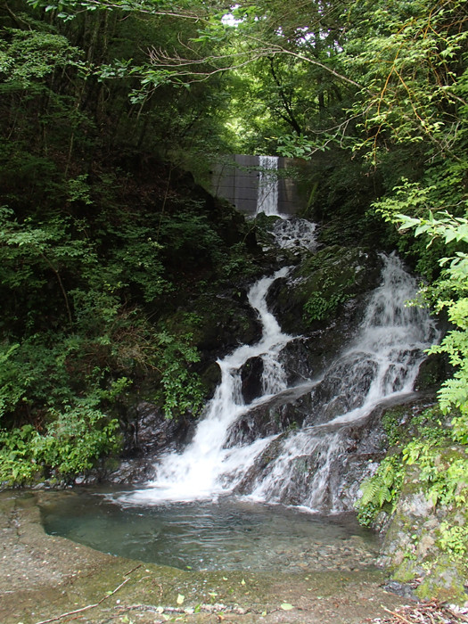 P7080007