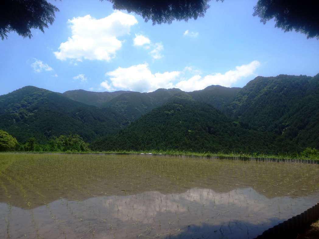 梅雨前の貴重な晴れ間に大和葛城山 テント泊 ゆるけい登山 梅雨前の貴重な晴れ間に大和葛城山 テント泊 ゆるけい登山