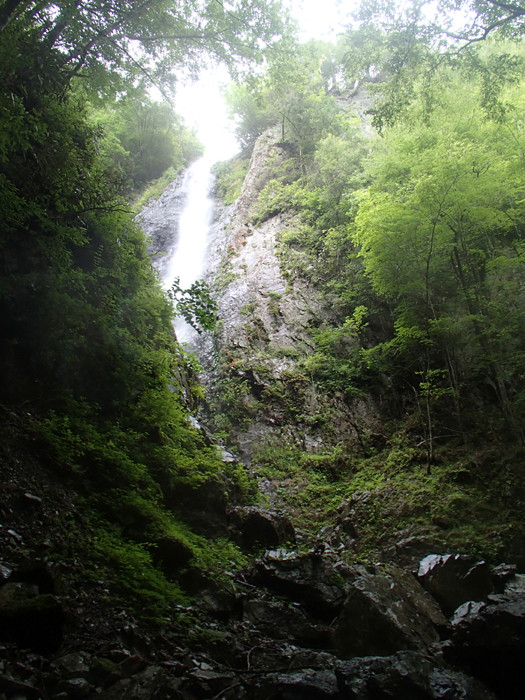 P7080083