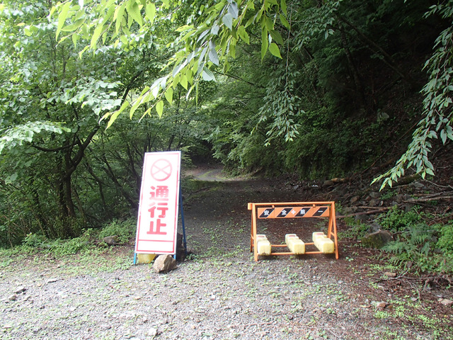 P7080001