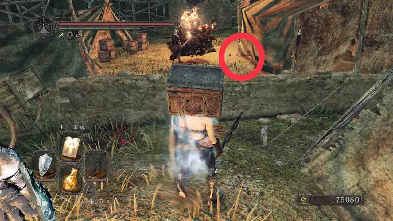 ゆるゆる気ままな日記 太陽のメダルマラソン再び