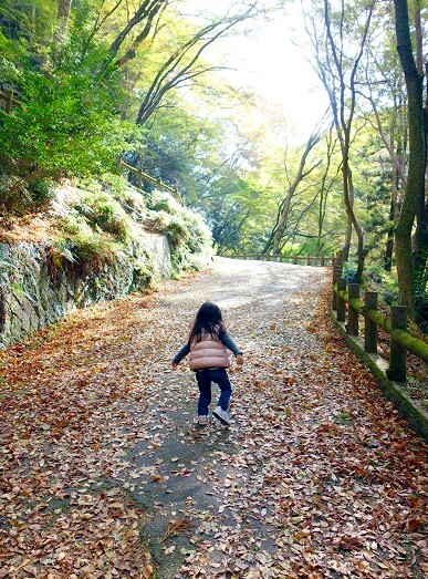 紅葉②