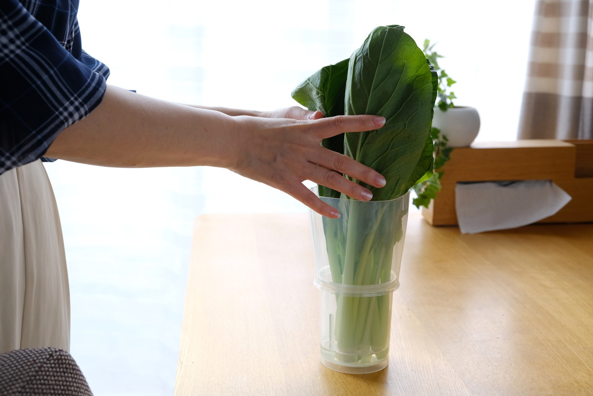 ❽7409セリア・野菜イキイキスタンド