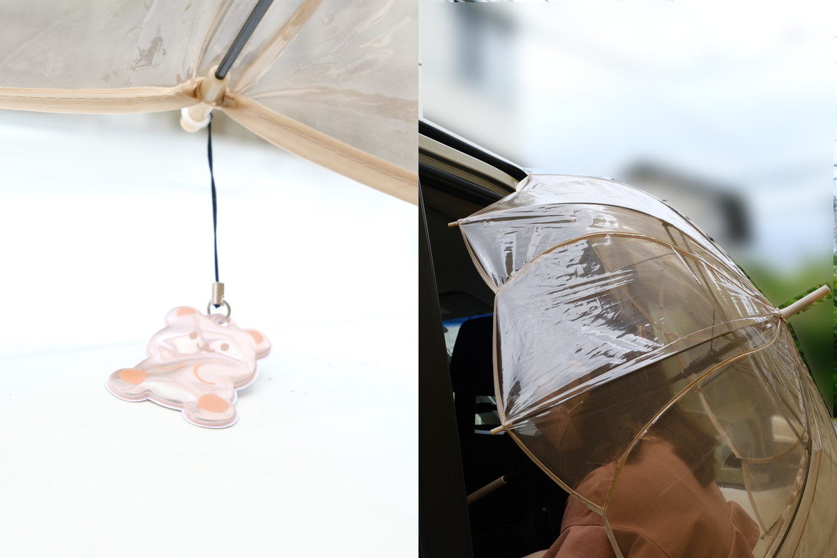 ❽DSCF5344②[1]セリア・雨グッズ3選2025