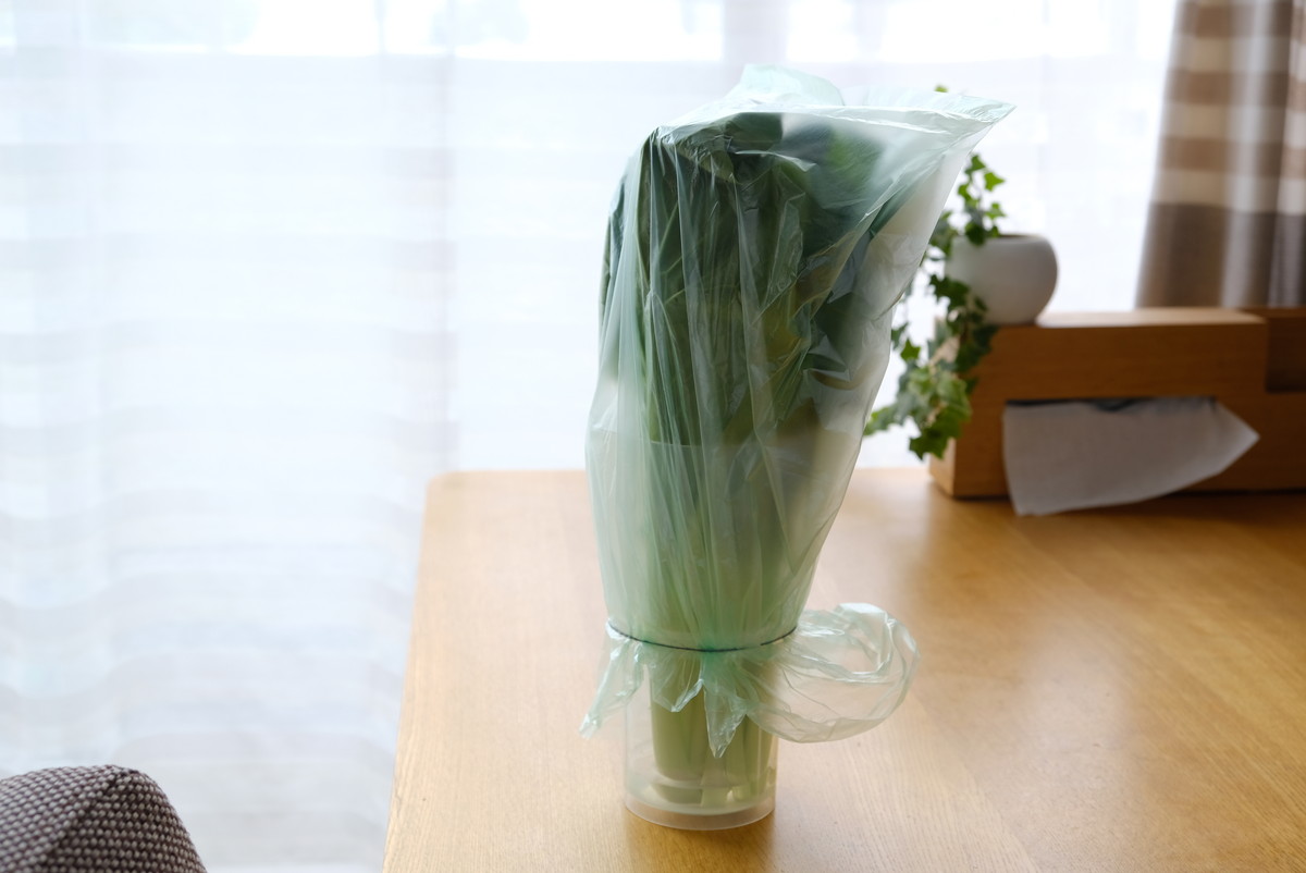 ❾7404セリア・野菜イキイキスタンド