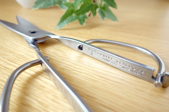 キッチンスパッター⑤