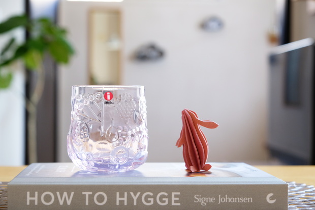 イッタラ・フルッタ・タンブラー・ペールピンク②