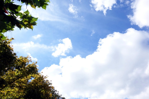 2017.10月運動会・空①