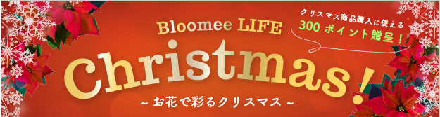 Bloomee LIFE・ブルーミーライフ・クリスマスキャンペーン2018①