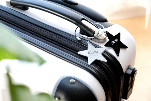 ダイソー・キーホルダー(ワイヤーリング、モノトーン、スター)・スーツケース①