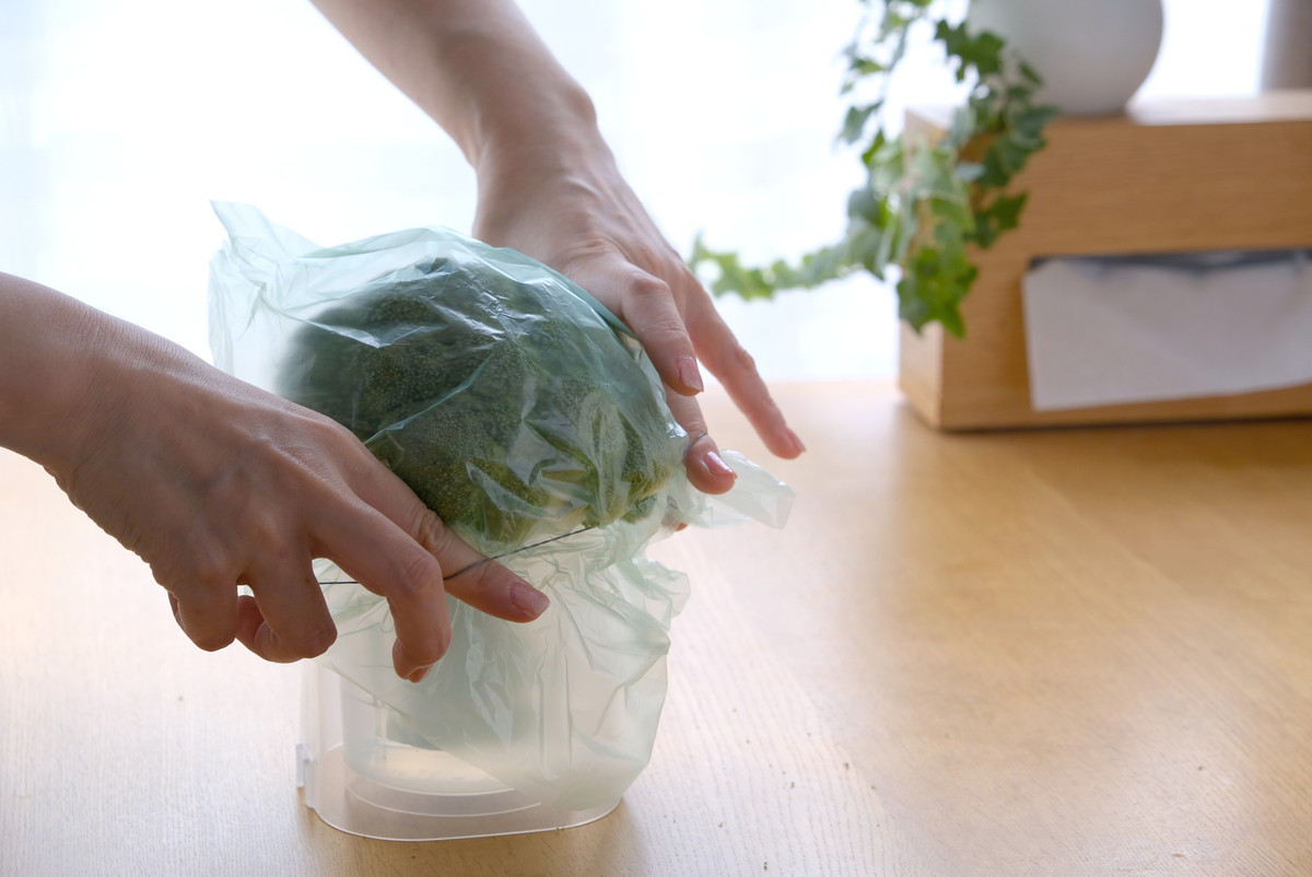 ❺7371②セリア・野菜イキイキスタンド