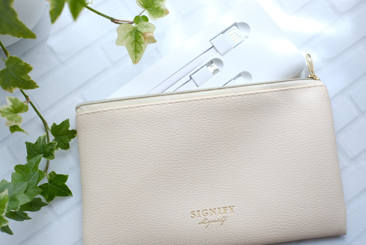 ❾1545ダイソー・ケーブル一体型 10000mAh POWER BANK