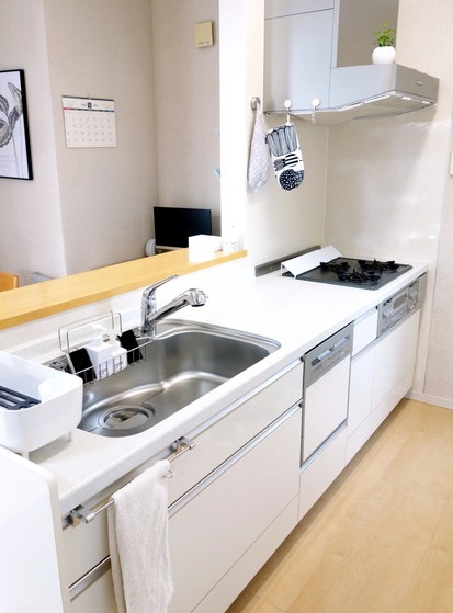 セリア・排水口カバー フラットタイプ・キッチン全体①