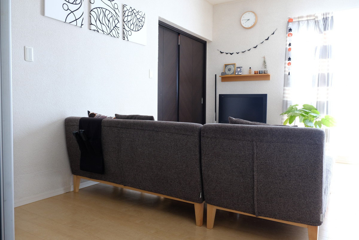 リビング全体・ソファ裏①