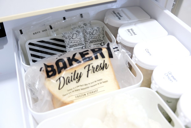 冷蔵庫・冷凍室・カトレケース・保冷剤収納①