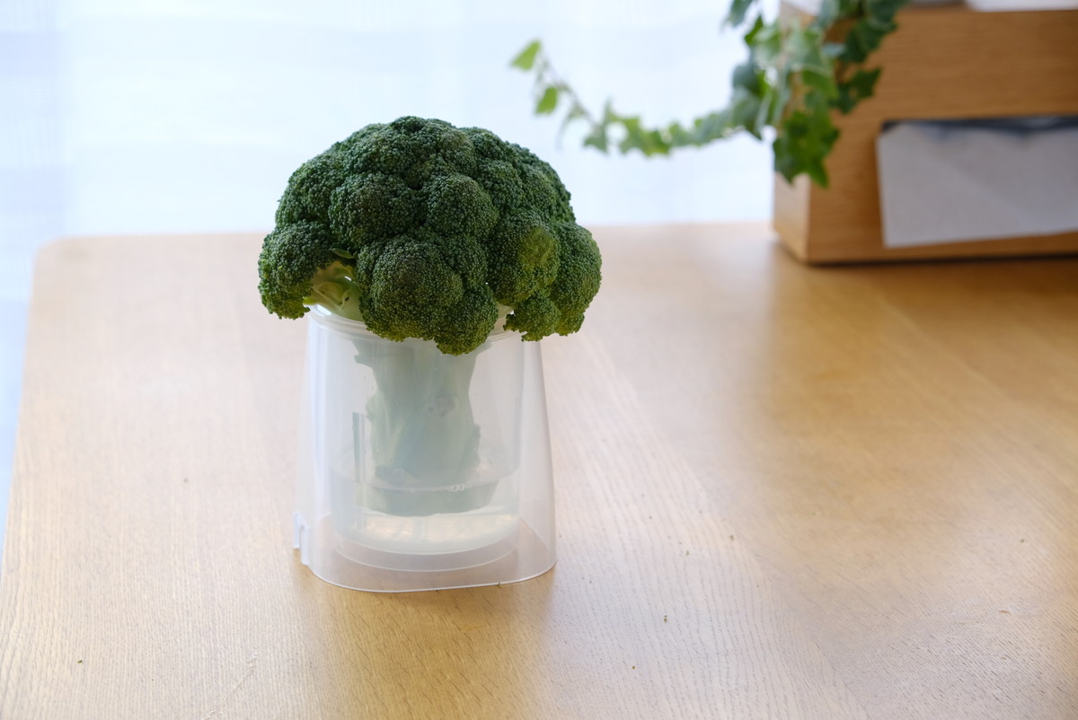 ❹7366セリア・野菜イキイキスタンド