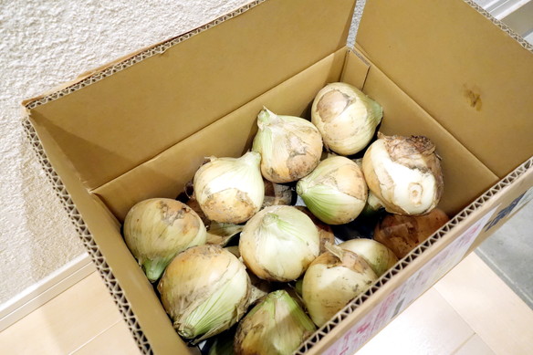 ダイソー 3coinsで 困った根菜類をスッキリ収納 お掃除もラクチンに ゆるーくおうちのことを考えるブログ Powered By ライブドアブログ ダイソー 3coinsで 困った根菜類をスッキリ収納 お掃除もラクチンに ゆるーくおうちのことを考えるブログ Powered By ライブドアブログ