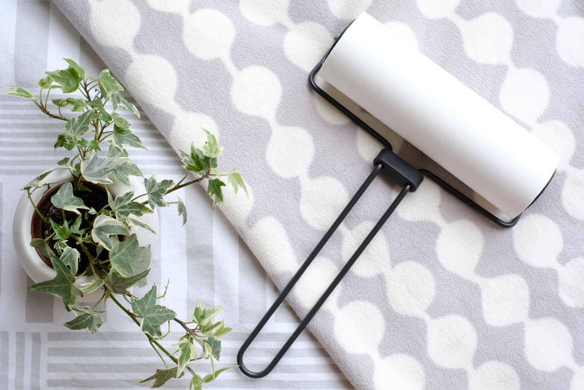 カインズ ワイヤーフレームカーペットクリーナー ケース無しでok スタイリッシュな家事アイテム ゆるーくおうちのことを考えるブログ Powered By ライブドアブログ