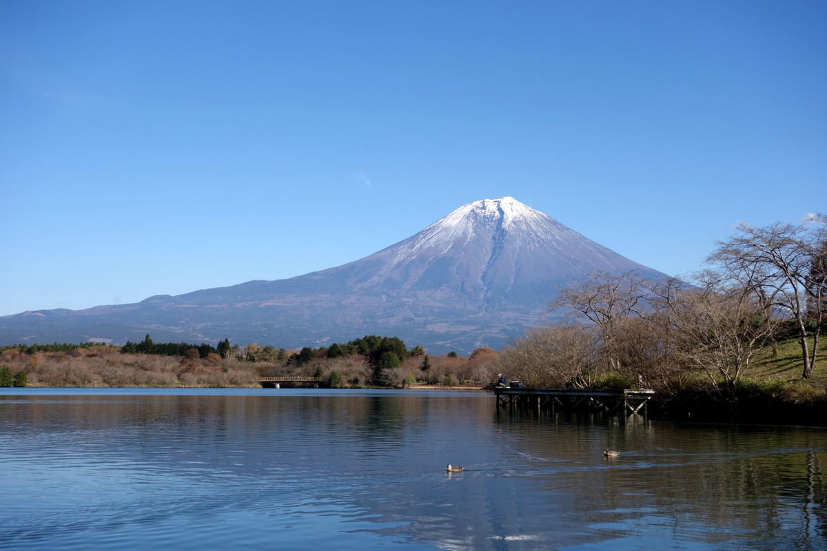 富士山田貫湖①