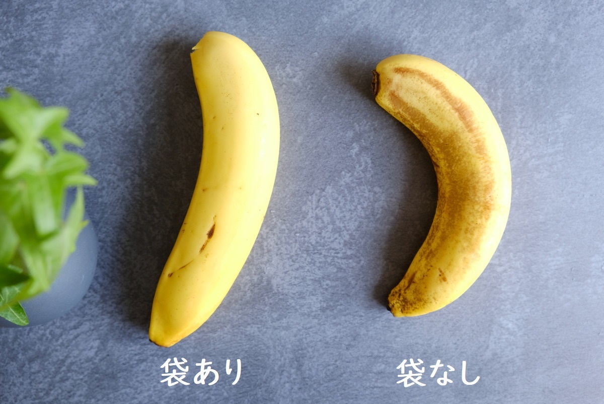 ホワイトマックス・エンバランス新鮮袋・バナナ比較①