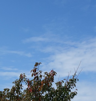 秋の空①