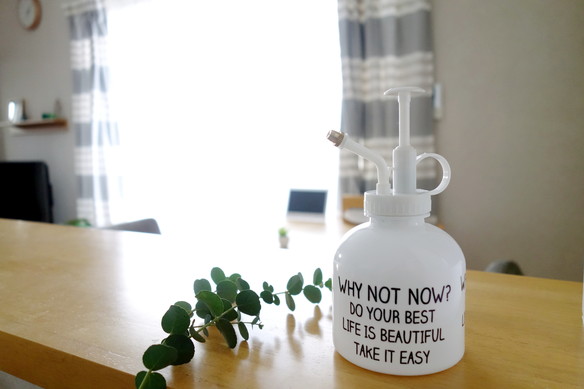 セリア・霧吹き フリーワード・カウンター上①