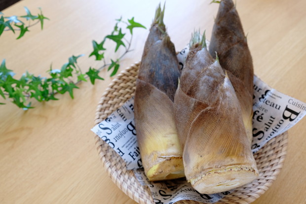 2019.5月・筍・タケノコ①