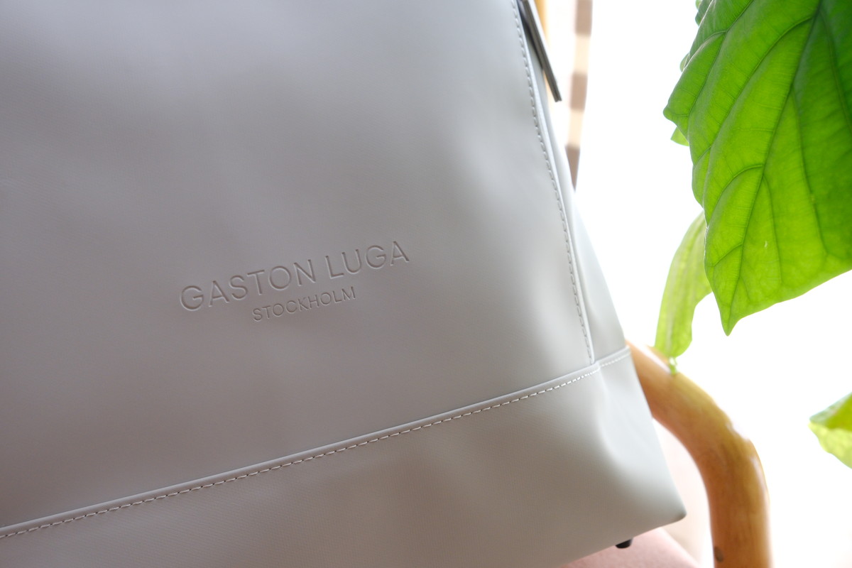 ❽DSCF6307ガストンルーガ