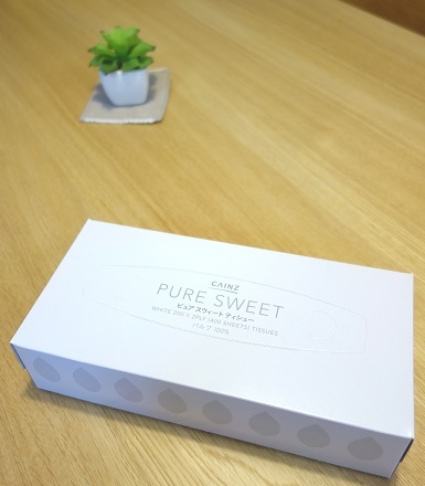 カインズティッシュ②