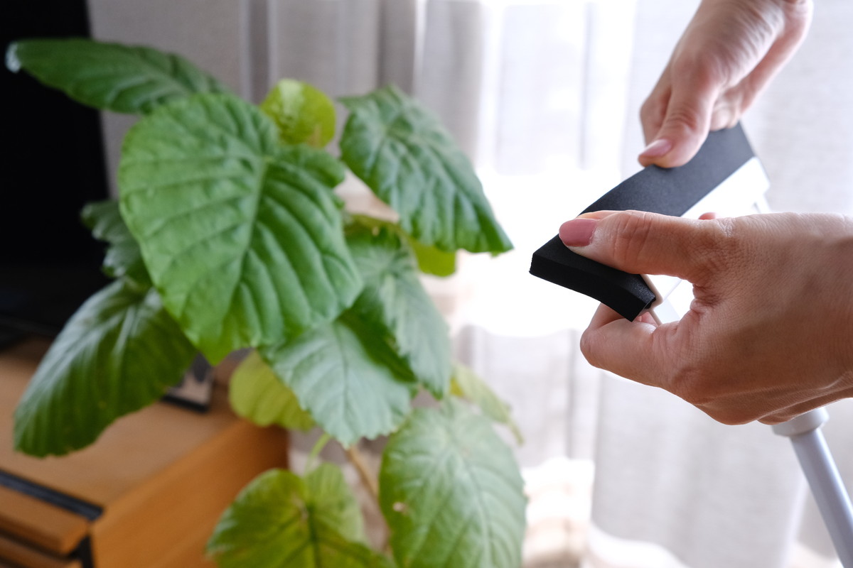 ❺DSCF5829セリア・フロア ラバーほうき