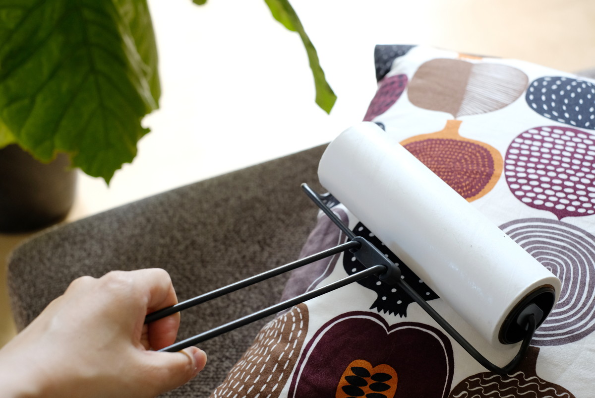 カインズ ワイヤーフレームカーペットクリーナー ケース無しでok スタイリッシュな家事アイテム ゆるーくおうちのことを考えるブログ Powered By ライブドアブログ