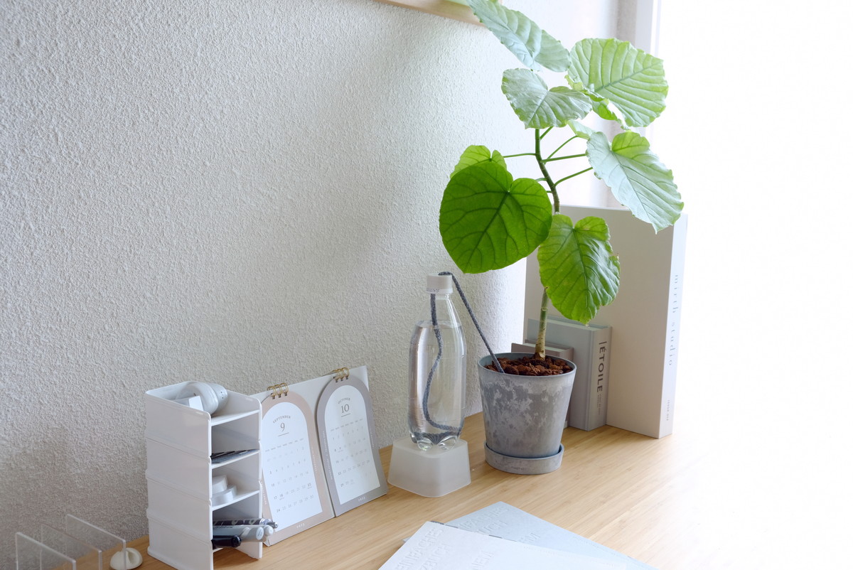 ❾8710②セリア・園芸用自動給水器・余り部屋