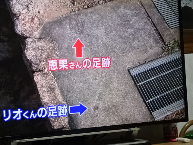 足跡 Tv番組から思ったこと 一緒に歩こう 足跡 Tv番組から思ったこと 一緒に歩こう