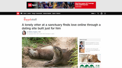 イングランド カワウソ 出会い系に関連した画像-02