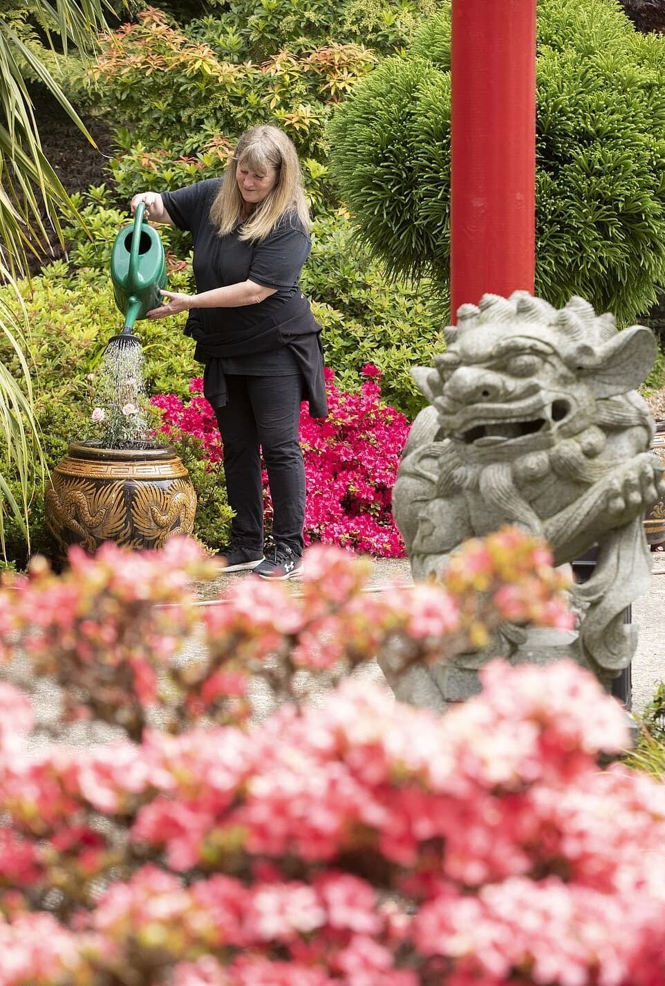 イギリス 日本庭園 和風庭園 ガーデニング