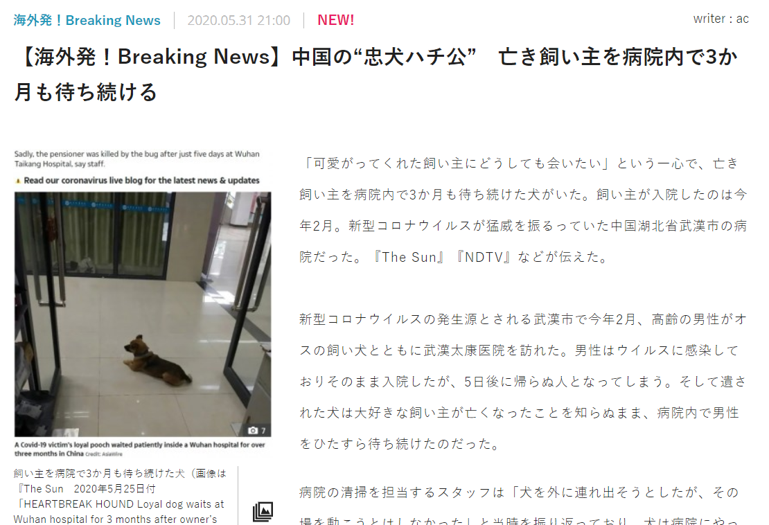 中国 病院 犬 ハチ公に関連した画像-02