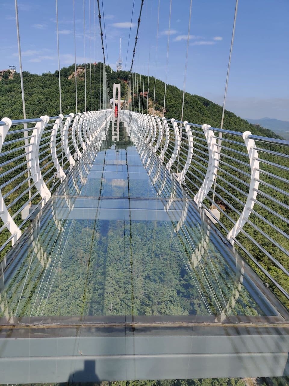琵岩山 中国 ガラスの吊り橋
