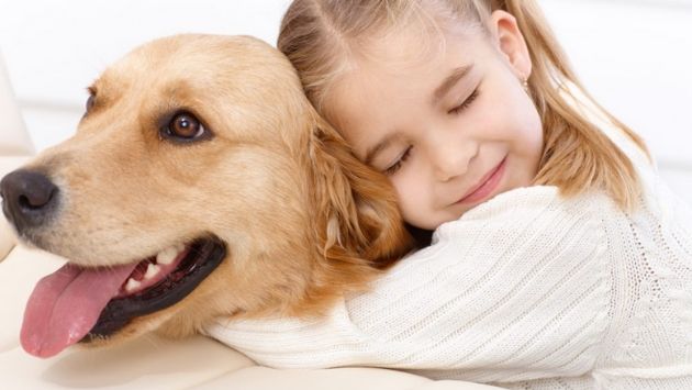 自閉スペクトラム症 行方不明 犬に関連した画像-01