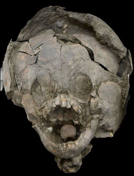 サランゴ古代遺跡発掘地に関連した画像-03