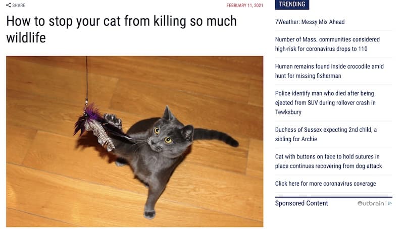 イギリス 猫 狩猟に関連した画像-02