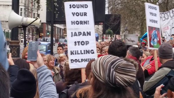 ロンドンの日本大使館前でイルカ漁反対の抗議活動に関連した画像-07