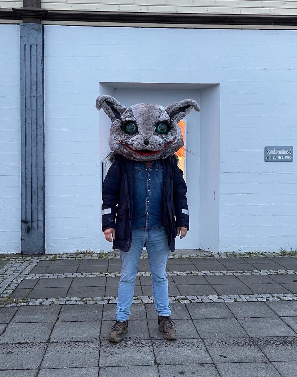 ネコ党 アイスランド 猫 Kattaframboðið