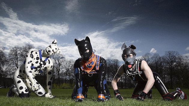 イギリスでリアルな「犬ごっこ」が流行に関連した画像-03