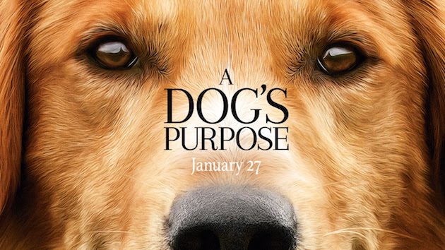 A Dog’s Purpose(野良犬トビーの愛すべき転生)に関連した画像-01