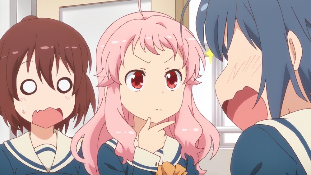 アニマエール! 規制 インドネシア